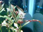 20091129545.jpg
