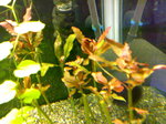 20091207552.jpg
